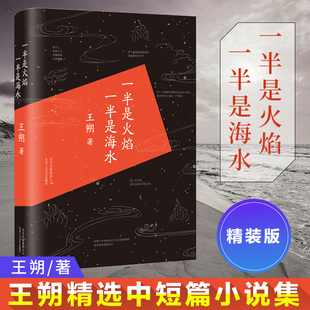 一半是火焰一半是海水 王朔 版 精装 9787530213643新华正版 社 中国文学 王朔爱情小说中国现当代文学随笔 小说 北京十月文艺出版