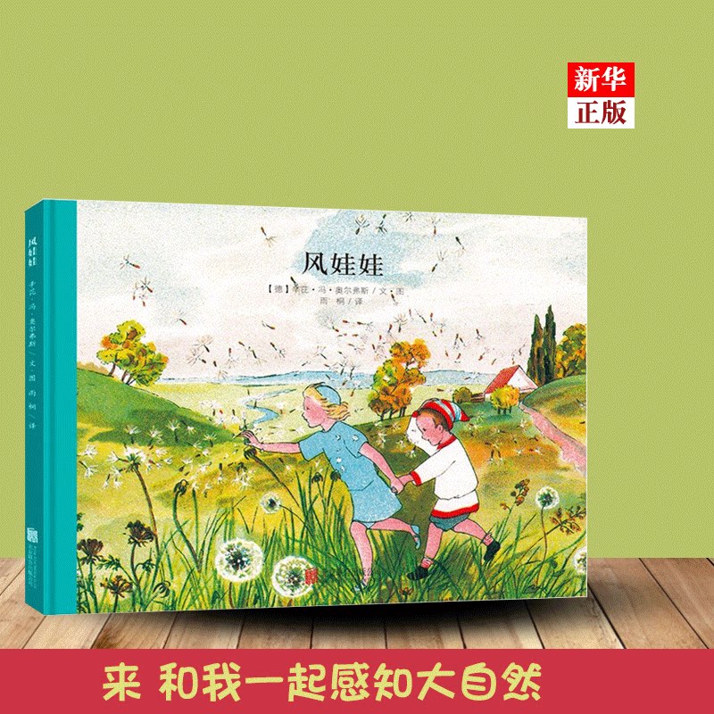 娃娃小精灵系列:风娃娃(精)3-4-5-6周岁儿童绘本故事书 幼儿园大班