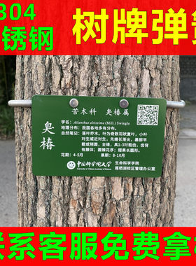 304不锈钢树牌弹簧拉簧挂簧