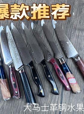 67层大马士革钢牛排刀VG10锻打水果刀出口余单多用刀5寸6寸水果刀