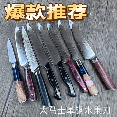 67层大马士革钢牛排刀VG10锻打水果刀出口余单多用刀5寸6寸水果刀