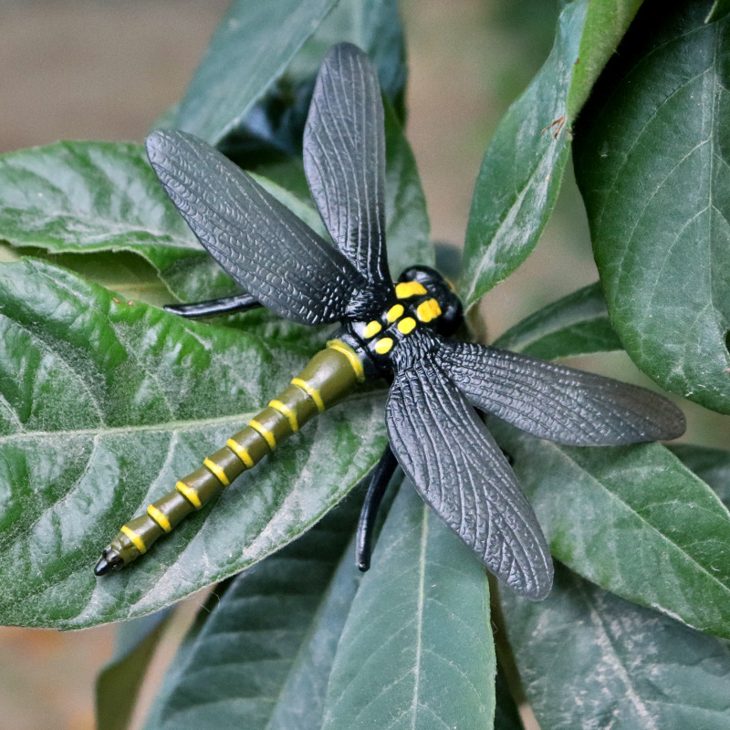 仿真动物昆虫模型儿童静态实心蜻蜓塑胶玩具微景观装饰摆件