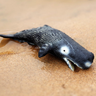 儿童仿真海洋生物模型抹香鲸鲨海洋塑胶动物玩具鲨鱼模型摆件手办