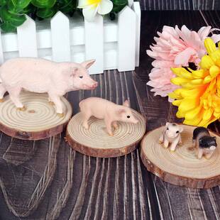 仿真野生动物猪模型 家禽母猪公猪花猪小猪崽儿童手办摆件玩具