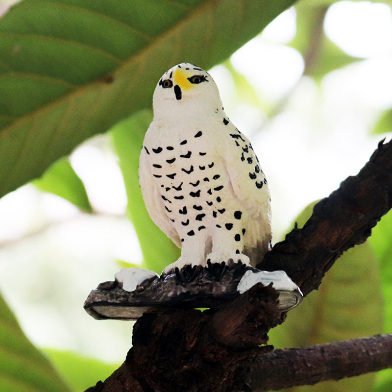 儿童实心仿真鸟类玩具雪鸮模型静态手办摆件野生塑胶动物世界玩具