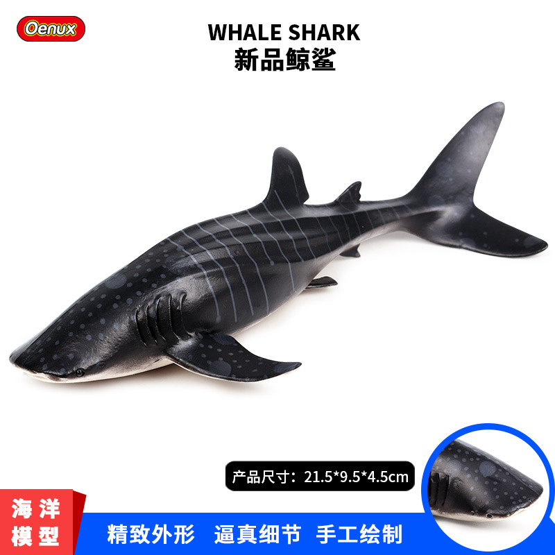 儿童实心仿真海洋生物模型玩具中鲸鲨大鲨鱼海洋动物摆件手办