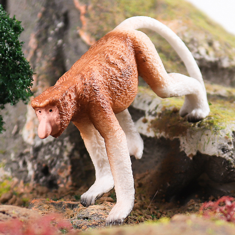 儿童认知仿真野生动物玩具长鼻猴猩猩猴子长臂猿实心模型摆件