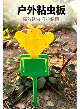 双面粘虫板防水诱虫板贴纸黄色沾黏虫板灭小飞虫果蝇粘板
