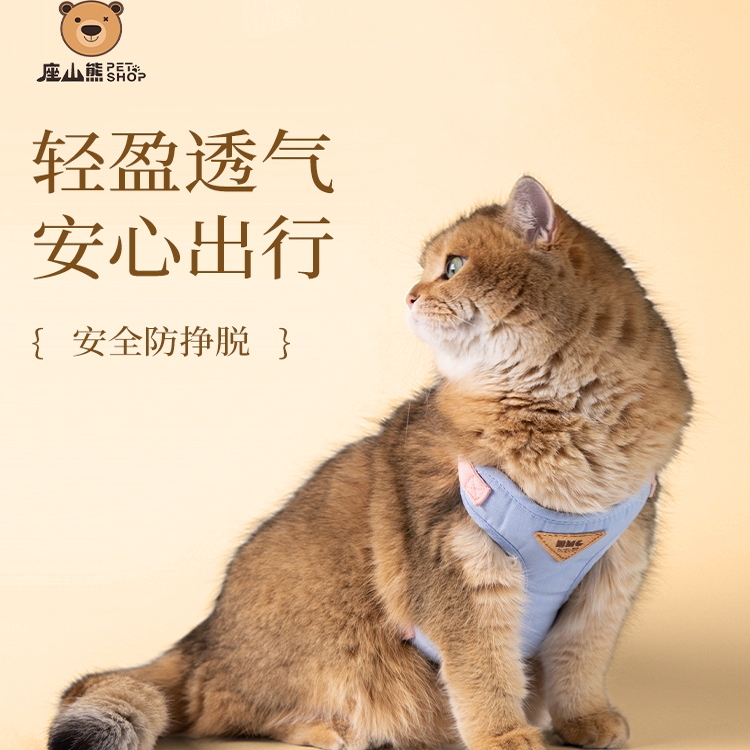 简约时尚!猫咪牵引绳防挣脱