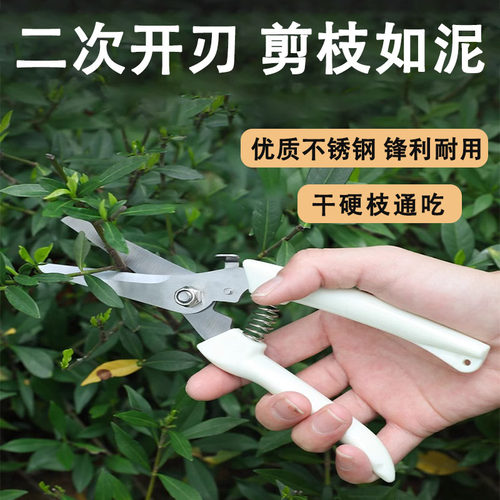 不锈钢树枝修枝剪采摘水果花木剪园林果树花卉枝嫁接园艺剪刀工具