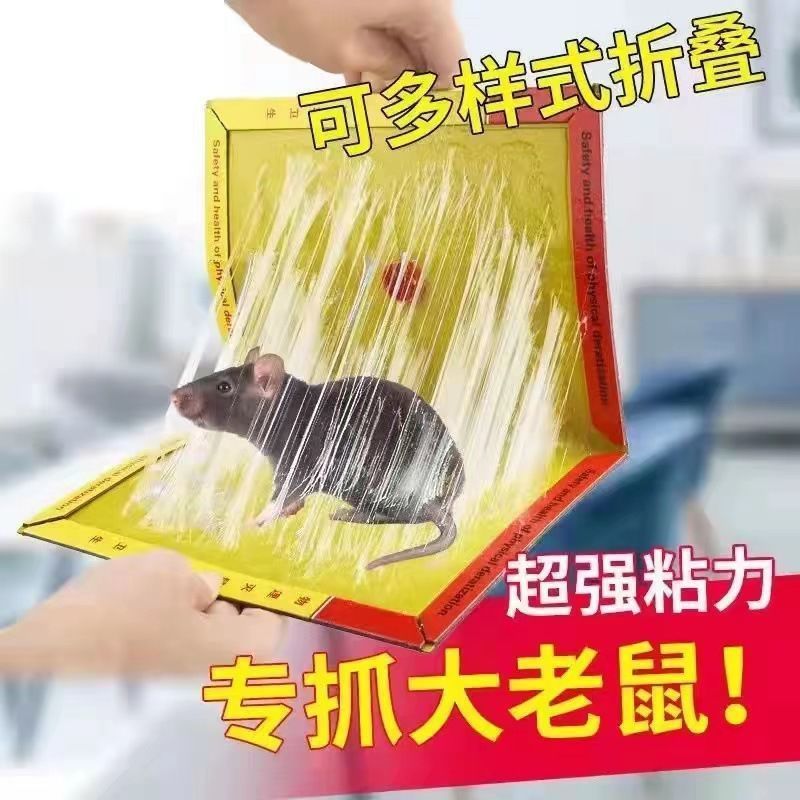 粘鼠板超强力大老鼠贴家用酒店驱鼠灭鼠器夹药捉抓捕鼠神器鼠克星