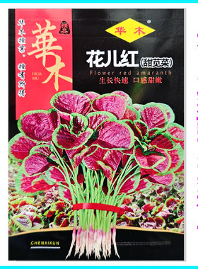 花儿红甜苋菜种子圆叶红苋菜种子大田种植蔬菜春季播盆栽老品种孑