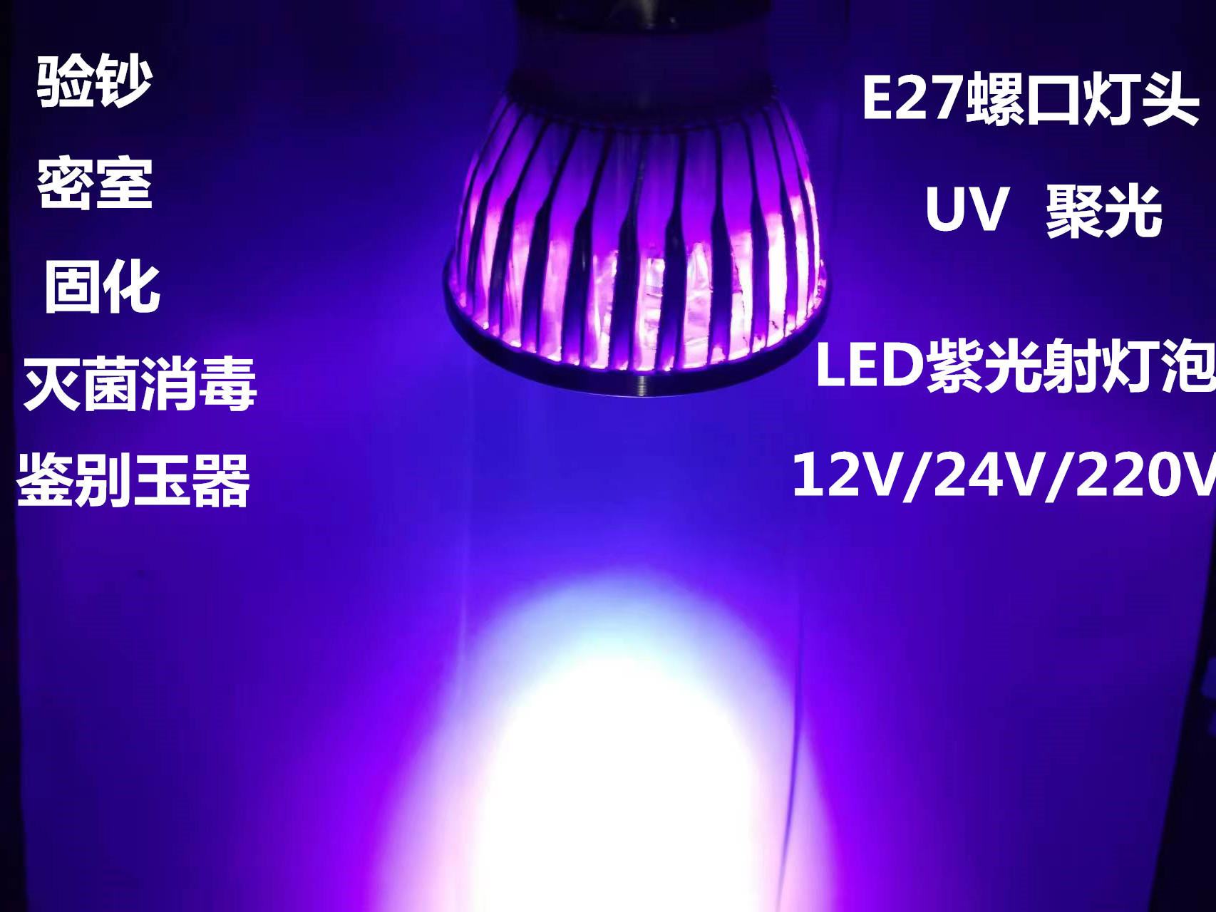 LED紫光灯泡12V220V验钞密室荧光