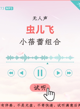 B2873小蓓蕾组合 虫儿飞 原版伴奏 高品质 无人声