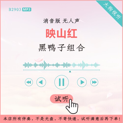 B2903黑鸭子组合 映山红 消音伴奏 高品质 无人声3分12秒
