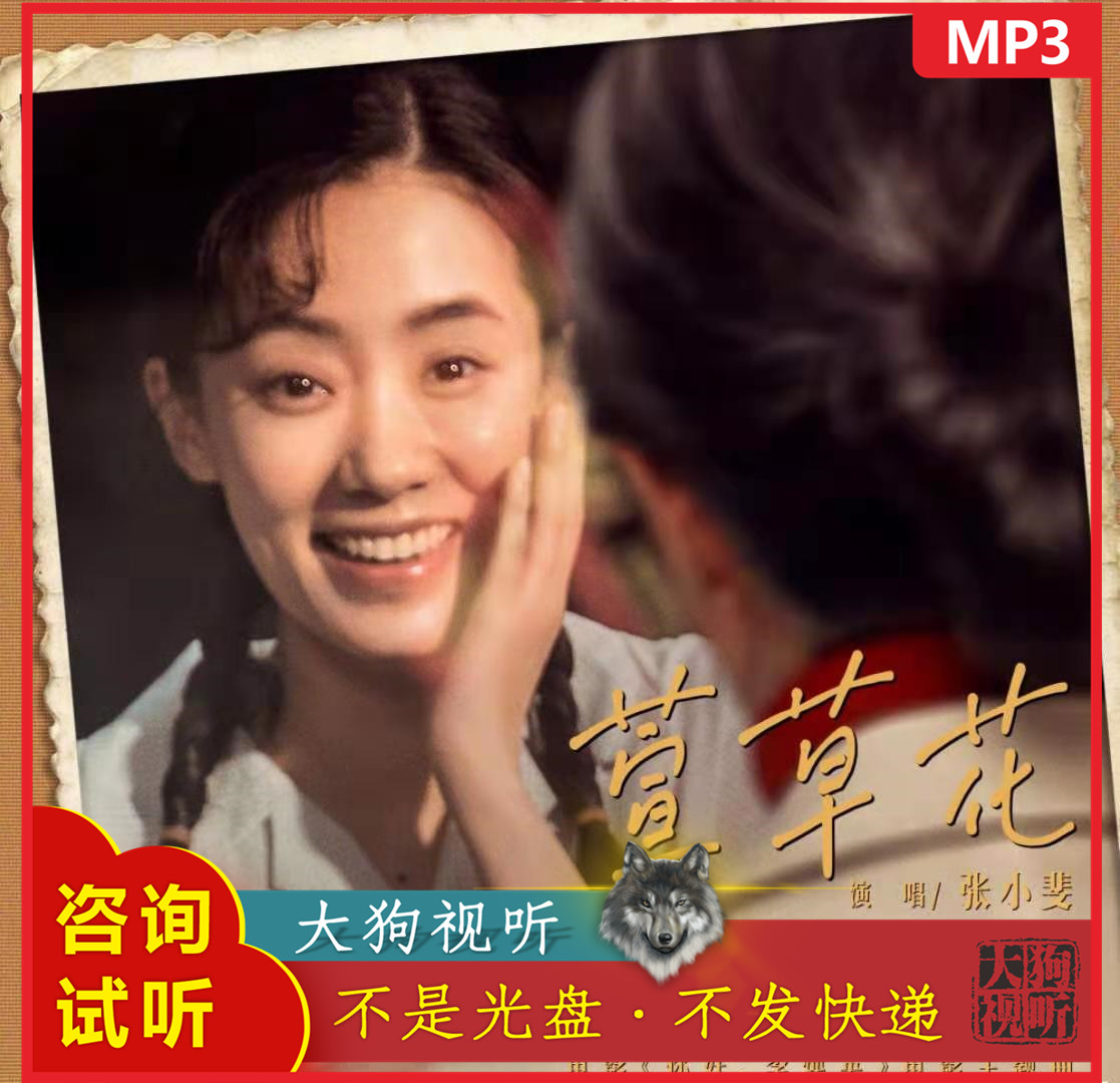 张小斐 萱草花 伴奏 官方原版立体声 纯伴奏 无人声 高清 320k