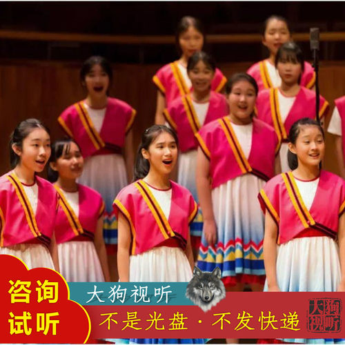 小海燕少年合唱团  我和我的祖国 原版伴奏 高品质 立体无人声