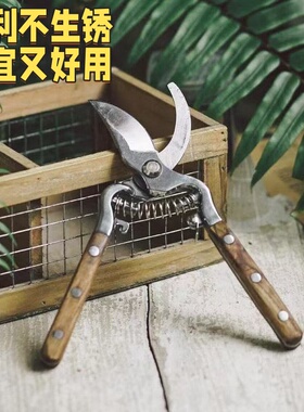 德国日本进口技术水曲柳木柄修枝剪花艺园林果树修剪树枝修花剪刀