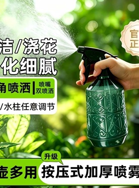 高端创意凡尔赛小喷壶家用园艺浇水喷瓶可调节按压式喷雾瓶800ml