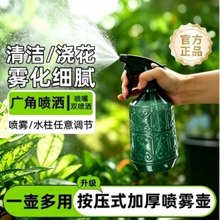高端创意凡尔赛小喷壶家用园艺浇水喷瓶可调节按压式喷雾瓶800ml