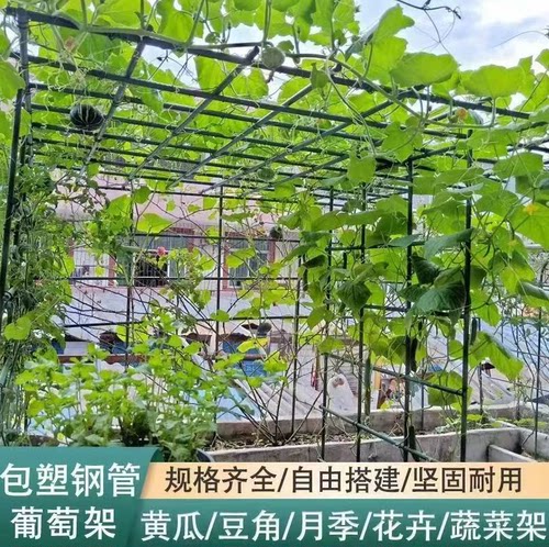 爬藤架花架葡萄番茄豆角黄瓜架子包塑钢管庭院户外搭架园艺支撑杆