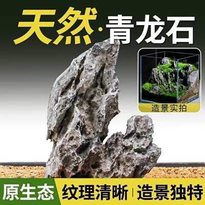 鱼缸假山造景真石头青龙石溪流石天然原石纹理石头小块盆景微景观