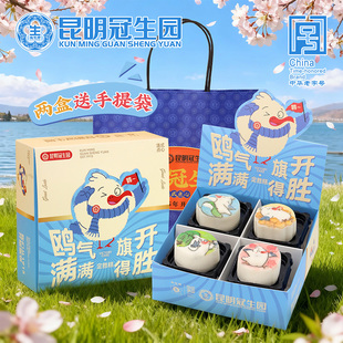 鸥气满满海鸥昆明海埂大坝云南特产定胜糕点礼盒旅游伴手礼点心