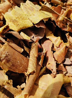 降真香根部黄药膜可以泡水熏香