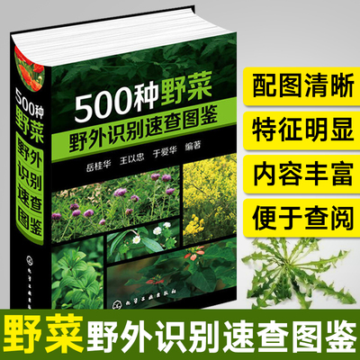 500种野菜野外识别速查图鉴 野菜图鉴鉴别野外常见植物百科大全植物学书籍 野外识别速查图鉴中国野菜野果食用植物菌类图谱一本通