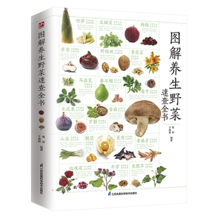 图解养生野菜速查全书 食疗野菜辨别养生食谱对症偏方饮食宜忌中医养生药膳补气血补肾养心调理身体食补采食药典现代医学传统食疗