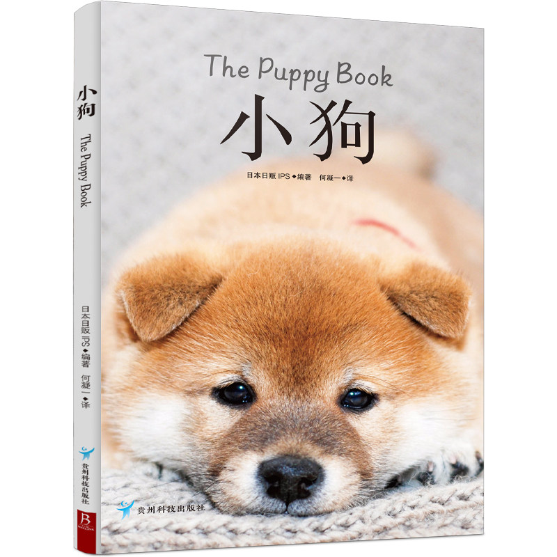 小狗 精选27种可爱软萌治愈的人气小奶狗 边境牧羊犬博美犬金毛寻回犬