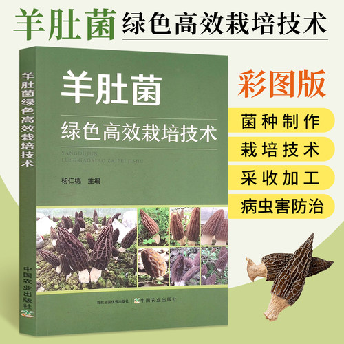 羊肚菌种植技术教程书籍