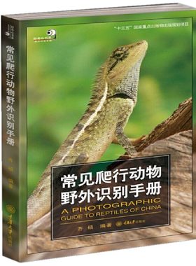 常见爬行动物野外识别手册 爬行动物知识书 两栖动物科普百科 生物世界的形态特征 少儿探秘野外动物世界大百科普图书籍重庆大学出