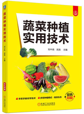 蔬菜种植实用技术 多茬蔬菜种植书籍高效生态模式农业技术栽培种菜书蔬菜种植两茬四茬种植茬口蔬菜瓜果品种选择整地病虫害防治