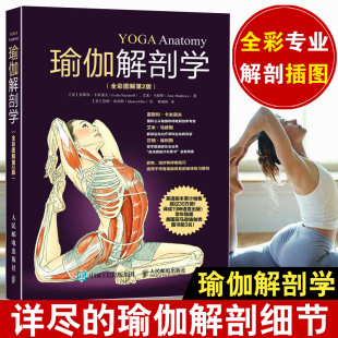 瑜伽书 瑜伽解剖学全彩图解第2版 初级入门减肥塑身瘦身健美健身 瑜伽书籍 教程技巧技法图解瑜伽自学大全零基础 运动健身