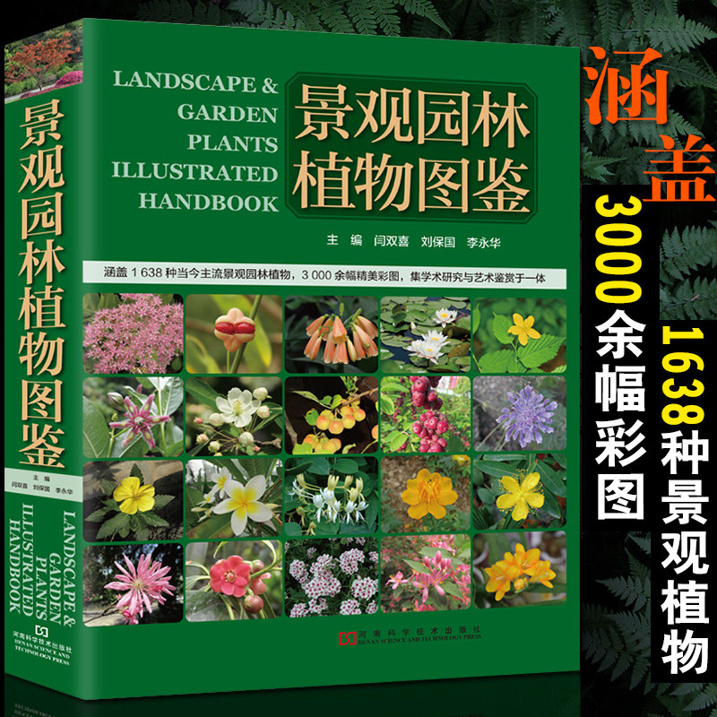 景观园林植物图鉴 常见园林树木识别 植物分类与应用 花草树木植物