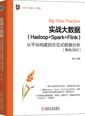 实战大数据 Hadoop Spark Flink 从平台构建到交互式数据分析 离线实时 数据工程师的开发手册书 开发工程师实用手册 机械工业出版