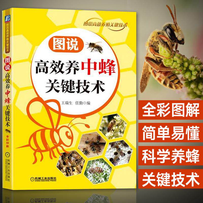 图说高效养中蜂关键技术 养蜂书籍大全技术蜜蜂中蜂养殖书养蜂养蜜蜂技术教程 蜜蜂养殖技术一本通 中华蜂土蜂饲养新技术实用教程