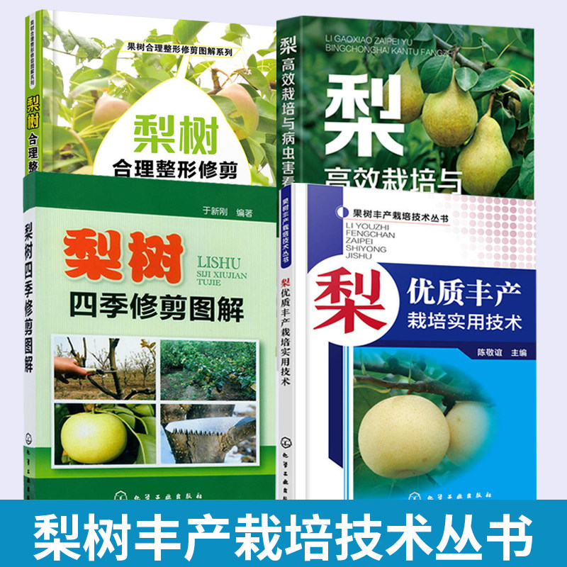 【全4册】梨优质丰产栽培实用技术+梨树四季修剪图解+梨高效栽培与病虫害看图防治+梨树合理整形修剪图解 梨树种植技术大全书果树
