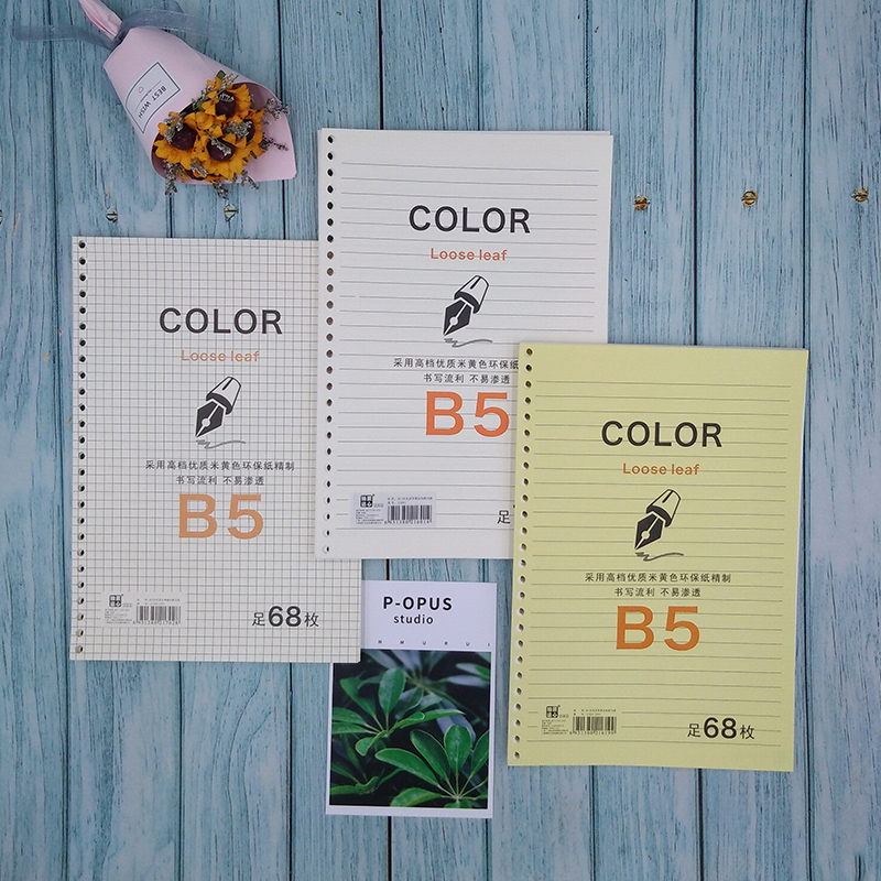 b5活页可拆卸横格空白英文替芯