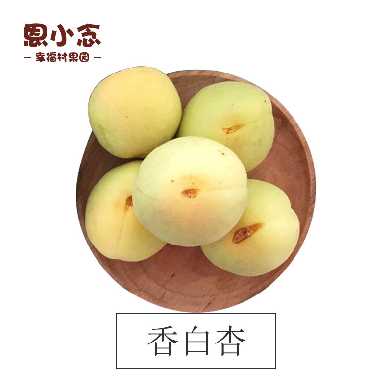 恩小念燕山特产河北香白杏遵化娘娘庄香白杏银白杏水果五斤装