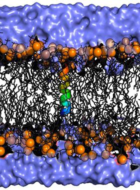 Gromacs远程安装GPU Windows Ubuntu CentOS GPU