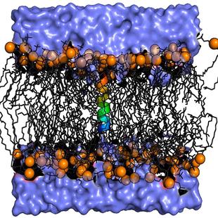 Gromacs远程安装GPU Windows Ubuntu CentOS GPU