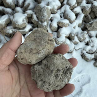 龙猫磨牙石火山岩原石磨脚爪石磨甲板兔子磨牙石3-6cm