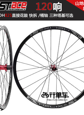 法斯特轮组 DA25/DH825花鼓自编太阳车圈DT辐条山地真空轮组120响