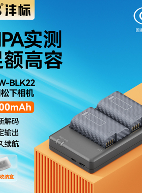 沣标DMW-BLK22相机电池24适用松下DC-S5M2 S5 S9 GH6 GH5M2全画幅数码微单LUMIX S5配件Panasonic充电器套装