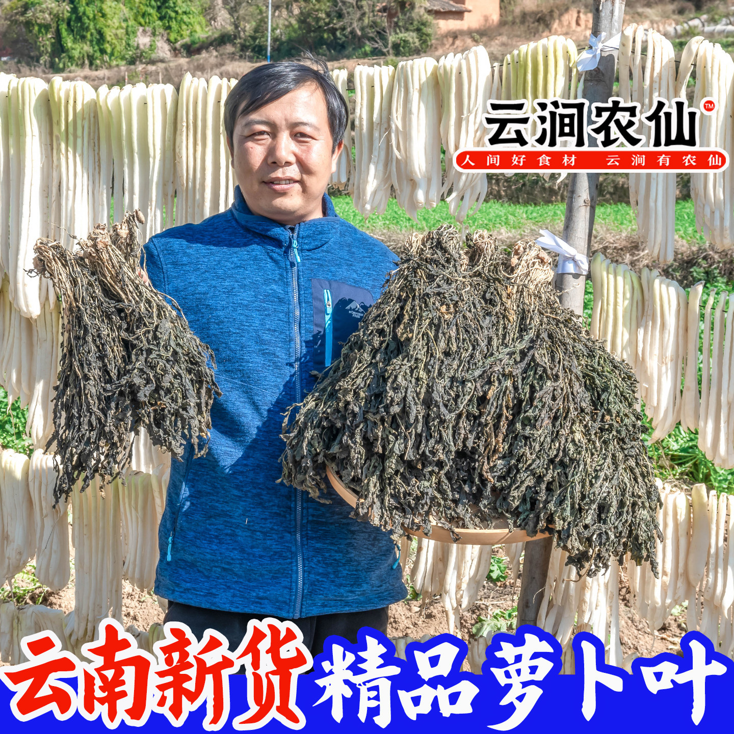 萝卜缨子干货萝卜叶云南无盐无添加梅干菜免洗无沙煲汤商用萝卜叶