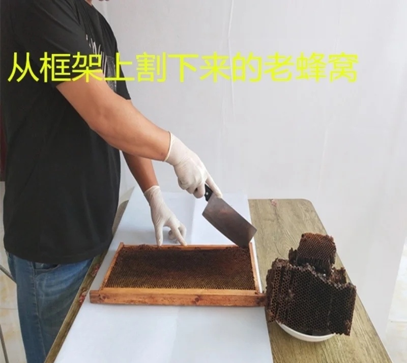 五台山蜂巢蜂窝5年以上老蜂巢意蜂老巢脾蜂巢素不带蜜蜂脾500g