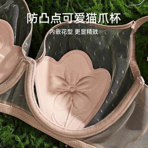 芬腾女士内衣大胸显小上托防下垂聚拢文胸性感网纱透气收副乳胸罩