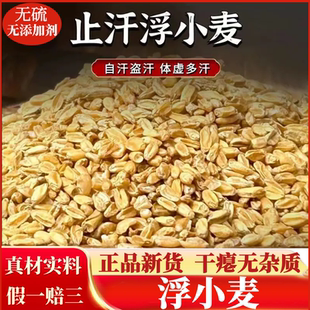 正宗浮小麦止汗中药材浮小麦茶独立小包装瘪小麦更年期自汗盗汗茶